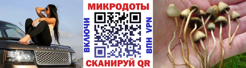 Галлюциногенные грибы прущие грибы  hydra вход  Приозерск 